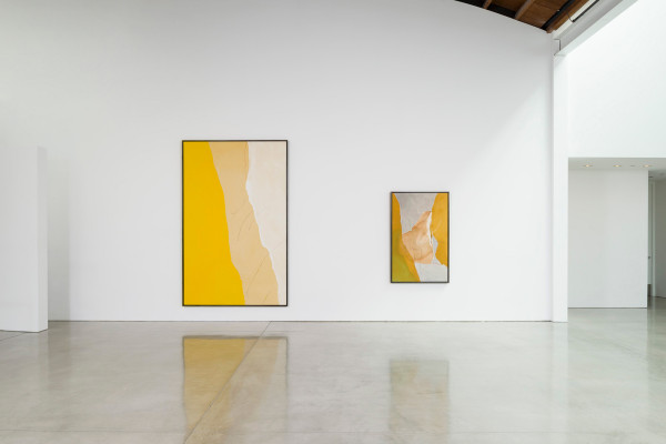 An installation photo of Line into Color, Color into Line: Helen Frankenthaler, Paintings 1962-1987